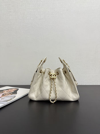 Colestore Chanel 25 Mini Handbag Grained Calfskin & Gold-Tone Metal Cream 20x22x12.5cm