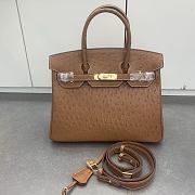 Colestore Hermes Birkin 30 in Brown Ostrich 30cm - 1