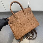 Colestore Hermes Birkin 30 in Brown Ostrich 30cm - 2