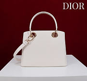 Colestore Dior Cigale Bag White 28x10x22cm - 6