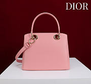 Colestore Dior Cigale Bag Pink 28x10x22cm - 6