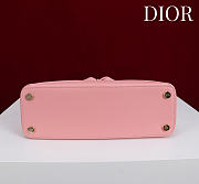 Colestore Dior Cigale Bag Pink 28x10x22cm - 4