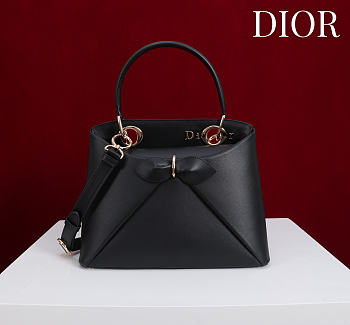 Colestore Dior Cigale Bag Black 28x10x22cm
