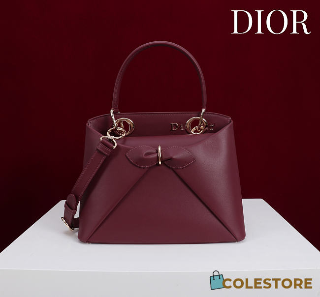 Colestore Dior Cigale Bag Burgundy 28x10x22cm - 1