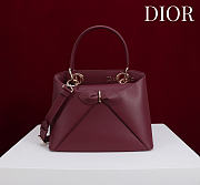 Colestore Dior Cigale Bag Burgundy 28x10x22cm - 1