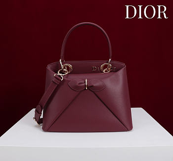 Colestore Dior Cigale Bag Burgundy 28x10x22cm