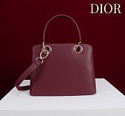 Colestore Dior Cigale Bag Burgundy 28x10x22cm - 2