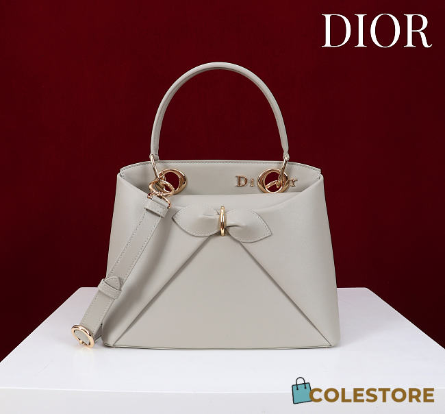 Colestore Dior Cigale Bag Gray 28x10x22cm - 1