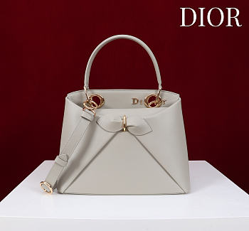 Colestore Dior Cigale Bag Gray 28x10x22cm