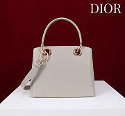 Colestore Dior Cigale Bag Gray 28x10x22cm - 4