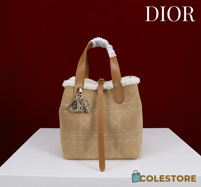 	 Colestore Dior DiorAlps Small Dior Toujours Vertical Tote Bag Beige Macrocannage Suede Calfskin and Ecru Merino Wool 18.5x18.5x12cm - 1