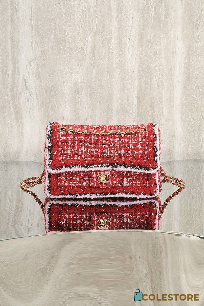 Colestore Chanel Classic Handbag Tweed fabric & gold-plated metal  Red, Pink & Black 25cm - 1