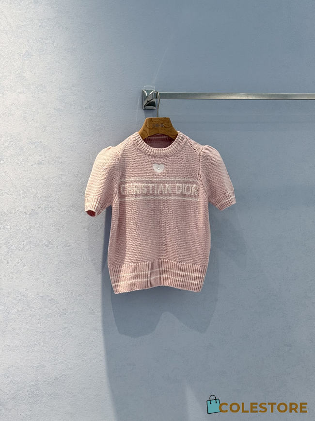 Colestore Dior Short-Sleeved Sweater Pink Virgin Wool-Cashmere Knit - 1