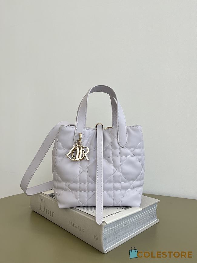 Colestore Dior Small Dior Toujours Vertical Tote Bag Lilac 18x16x12cm - 1