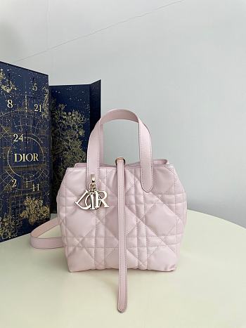Colestore Dior Small Dior Toujours Vertical Tote Bag Light Pink 18x16x12cm