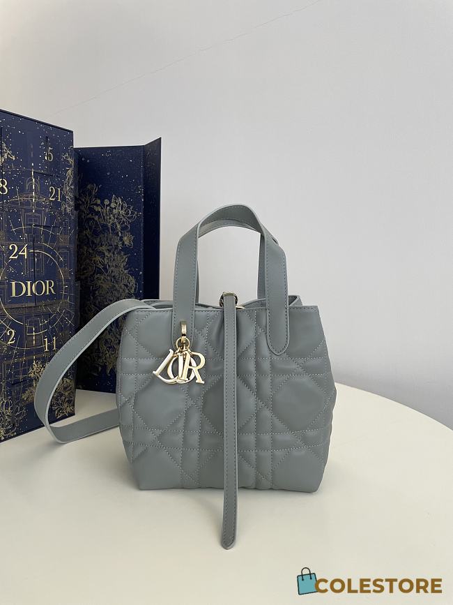 Colestore Dior Small Dior Toujours Vertical Tote Bag Stone Gray 18x16x12cm - 1