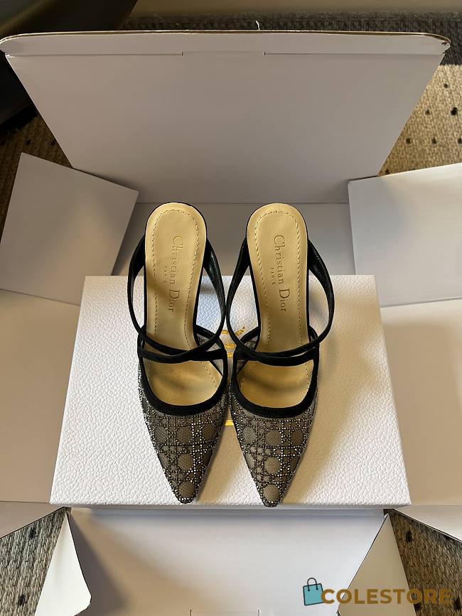 Colestore Dior Capture Heeled Mule Transparent Mesh with Silver-Tone Strass Cannage Motif and Black Suede Goatskin - 1