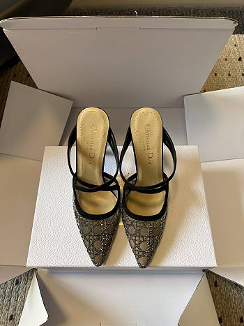 Colestore Dior Capture Heeled Mule Transparent Mesh with Silver-Tone Strass Cannage Motif and Black Suede Goatskin
