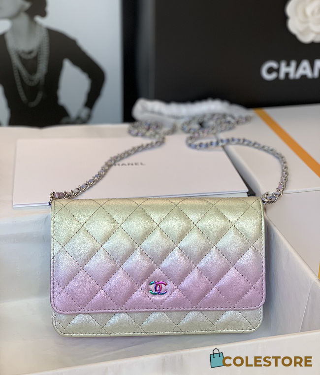Colestore Chanel Gradient Iridescent Wallet On Chain 19cm - 1