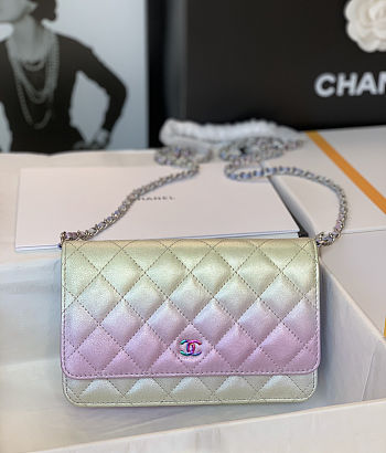 Colestore Chanel Gradient Iridescent Wallet On Chain 19cm