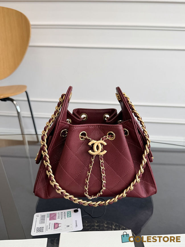 Colestore Chanel 25 Mini Handbag Grained Calfskin & Gold-Tone Metal Burgundy 20x22x12.5cm - 1