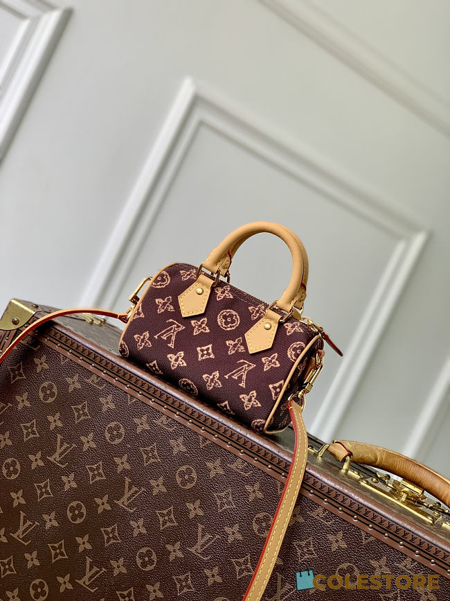 Colestore Louis Vuitton Nano Speedy Autres Toiles Monogram 10 x 7.5 x 16cm - 1