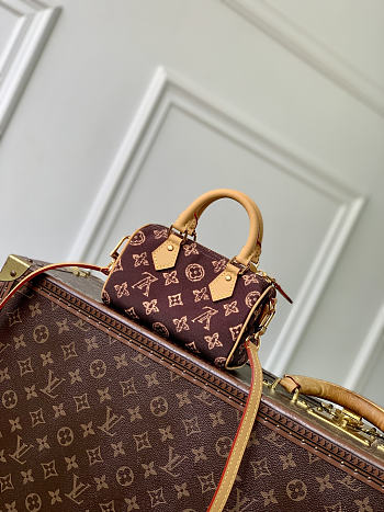 Colestore Louis Vuitton Nano Speedy Autres Toiles Monogram 10 x 7.5 x 16cm