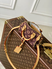 Colestore Louis Vuitton Nano Speedy Autres Toiles Monogram 10 x 7.5 x 16cm - 3