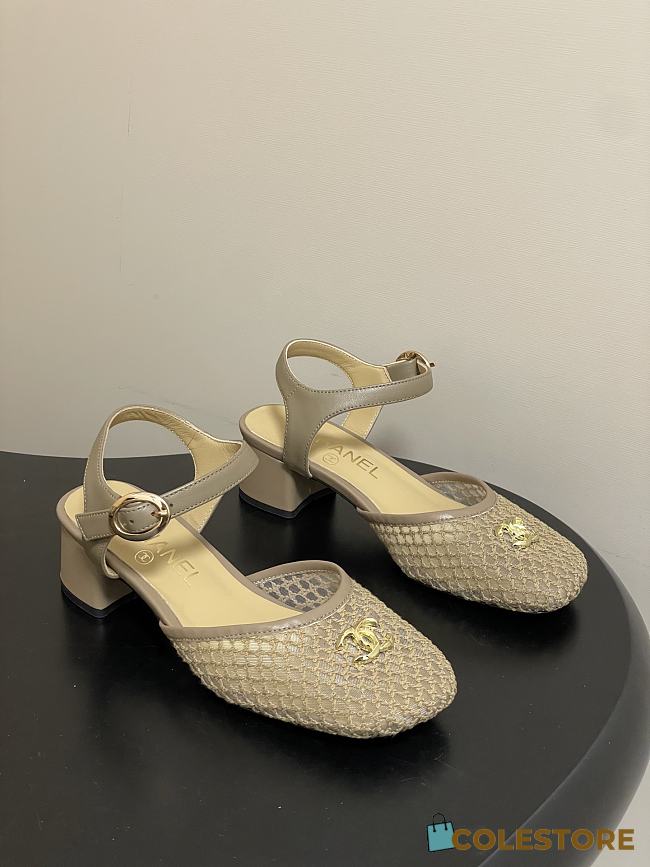 Colestore Chanel  Slingbacks Mesh & Goatskin Beige - 1