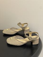 Colestore Chanel  Slingbacks Mesh & Goatskin Beige - 4