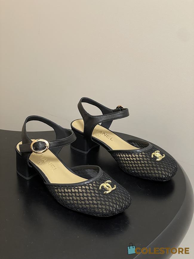 Colestore Chanel  Slingbacks Mesh & Goatskin Black - 1