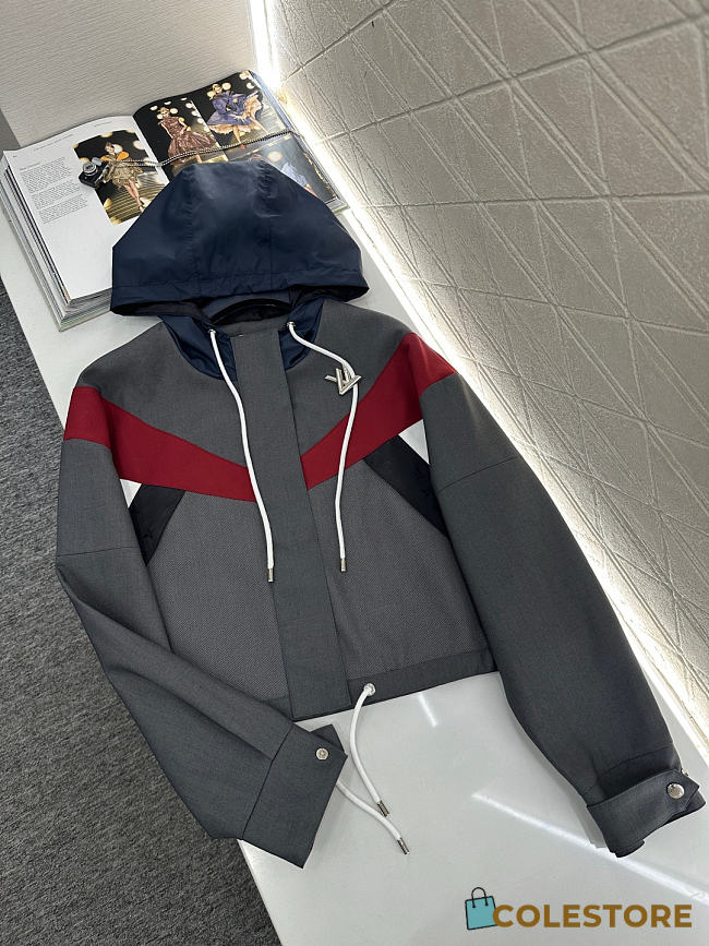Colestore Louis Vuitton Color-Blocked Windbreaker  - 1