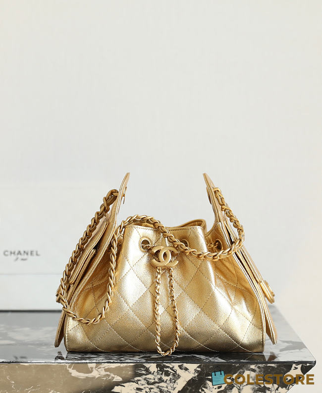 Colestore Chanel 25 Mini Handbag  Metallic Grained Calfskin & Gold Metal Gold 20 x 22 x 12.5cm - 1