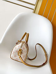 	 Colestore Louis Vuitton Speedy Bandouliere 20 Monogram Gray Lin 20.5 x 13.5 x 12.0cm - 5