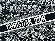 Colestore Dior Large Dior Book Tote Black and White Plan de Paris Embroidery (42×17×34.5cm) - 2