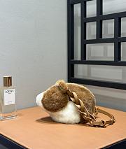 Colestore Loewe x Suna Fujita Shearling Crossbody Bag 21x13x15cm - 1