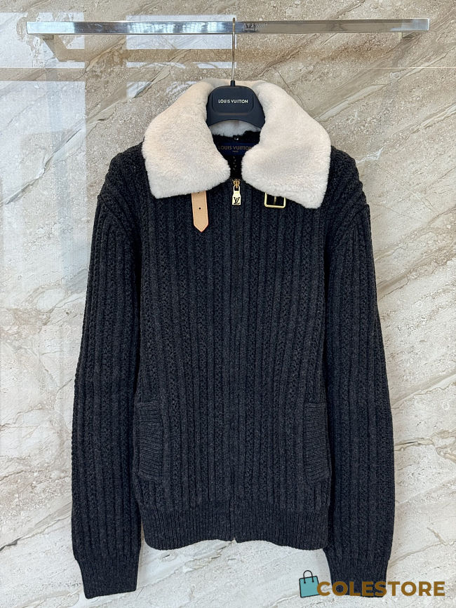 Colestore Louis Vuitton Wool and Cashmere Blouson Dark Grey - 1