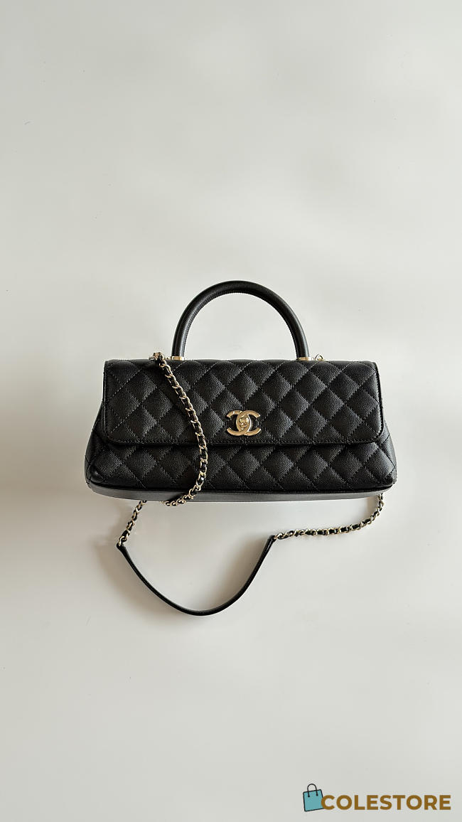 Colestore Chanel Coco Handle East-West Flap Bag Gold-tone Hardware  31x12.5x7cm - 1
