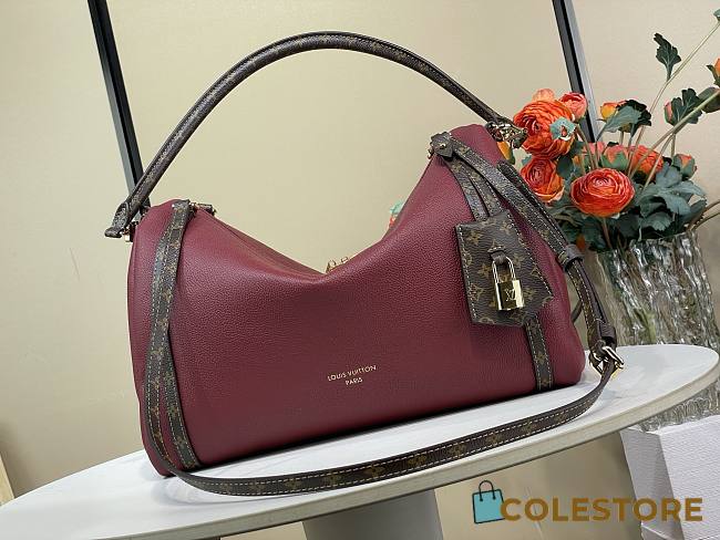 Colestore  Louis Vuitton Express MM Carmin M27689 36 x 24 x 18.5 cm - 1