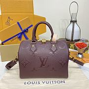 Colestore Louis Vuitton Speedy Bandoulière 25 Grenat 25x19x15cm - 1