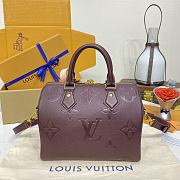 Colestore Louis Vuitton Speedy Bandoulière 25 Grenat 25x19x15cm - 5