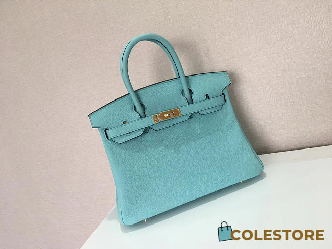 Colestore Hermes Birkin 25 Blue Atoll Gold Hardware - 1