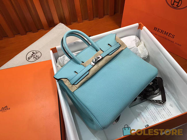 Colestore Hermes Birkin 25 Blue Atoll Silver Hardware - 1