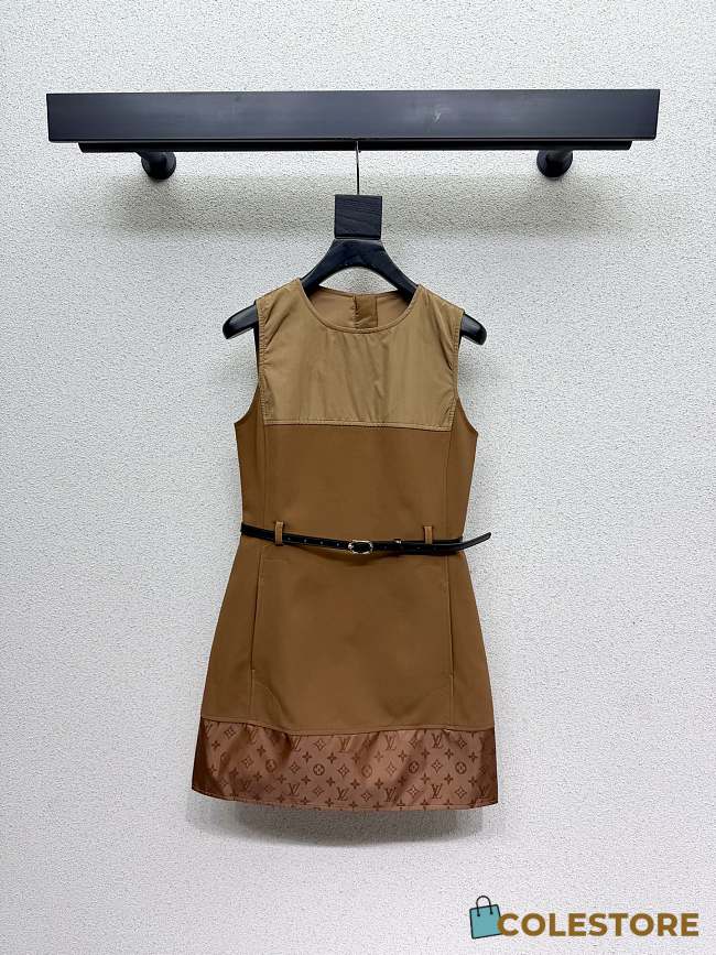 Colestore  Louis Vuitton Bi-Material Belted Dress - 1