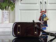 Colestore  Louis Vuitton Alma BB Datewood Varnished Cowhide Leather 23.5 x 17.5 x 11.5 cm - 5