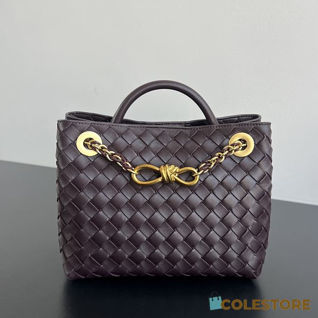 Colestore  Bottega Veneta Women's Small Andiamo Chain in Dark barolo 25x22x10.5cm - 1