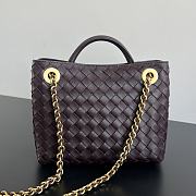 Colestore  Bottega Veneta Women's Small Andiamo Chain in Dark barolo 25x22x10.5cm - 3