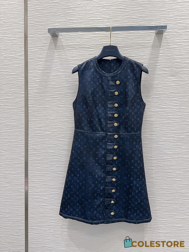 Colestore Louis Vuitton monogram denim sleeveless dress with gold buttons - 1