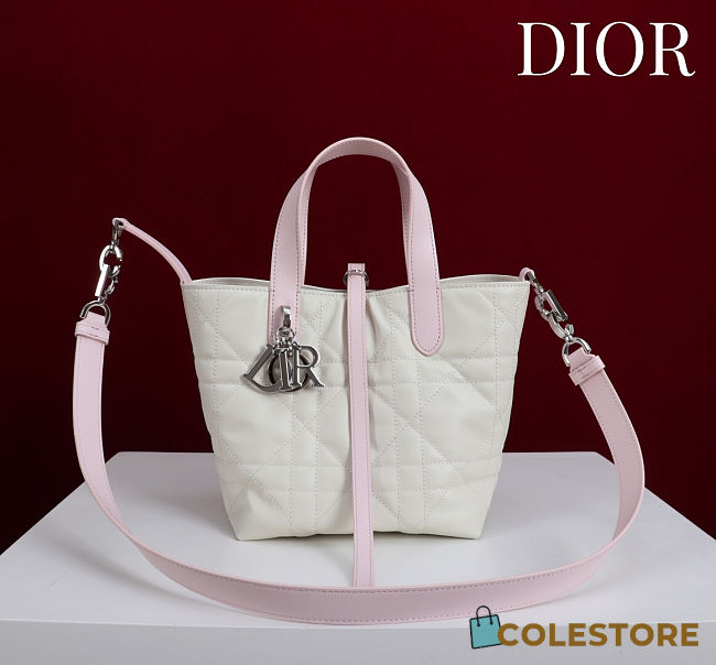 Colestore  Dior Small Dior Toujours Vertical Tote Bag Rose Soupir and Latte Macrocannage Calfskin 18.5 x 18.5 x 12 cm - 1