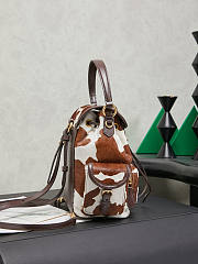Colestore  Miu Miu White/burnt Sienna Printed Leather Backpack 22x18x11.5cm - 5